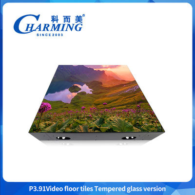 Nội thất và ngoài trời 500 * 500mm Cabinet Panel Module Boards Screen 3840HZ Thiết bị quảng cáo khác Khung khiêu vũ LED