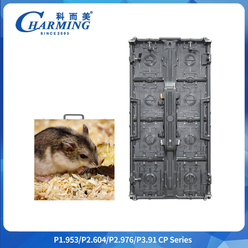 Phòng kính tối thiểu 1.91m Phân rời P2.6/2.98/3.91 CP Series ngoài trời LED Video Wall với thép không gỉ Quick Lock